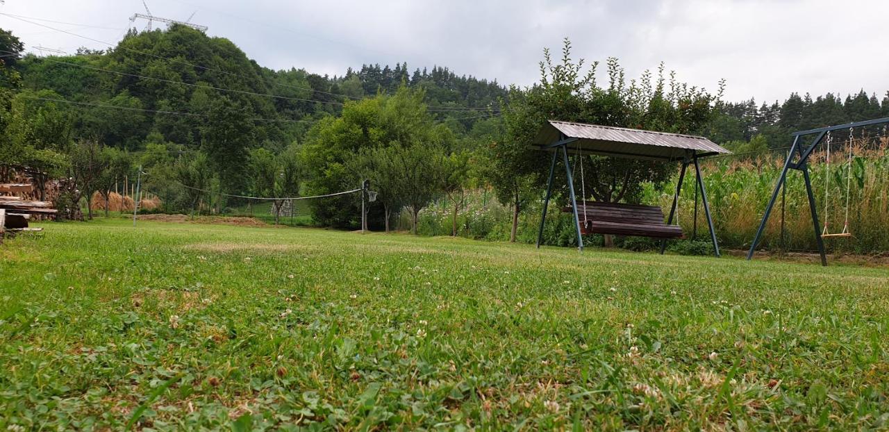 Pensiunea Dor De Munte Arefu Εξωτερικό φωτογραφία